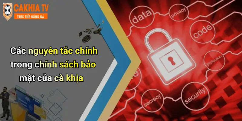 Các nguyên tắc chính trong chính sách bảo mật của cà khịa