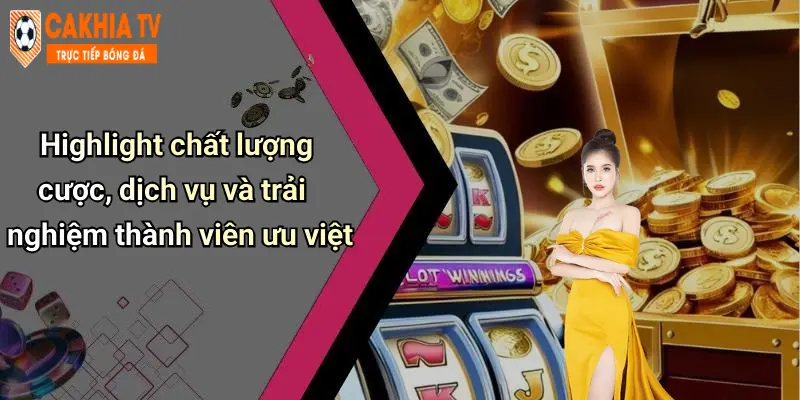 Highlight chất lượng cược, dịch vụ và trải nghiệm thành viên ưu việt